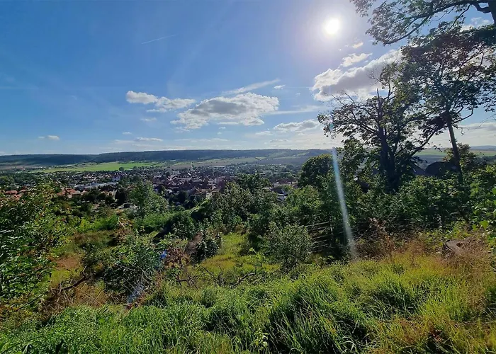 아파트 Meiningen *